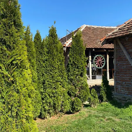 Bed & Breakfast Avlija